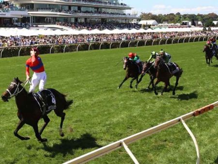 On Melbourne Cup Day, the average Australian spends $179: How does it stack up against stocks and Bitcoin?