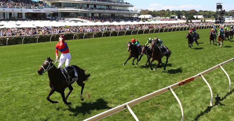 On Melbourne Cup Day, the average Australian spends $179: How does it stack up against stocks and Bitcoin?