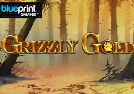 Grizzly Gold