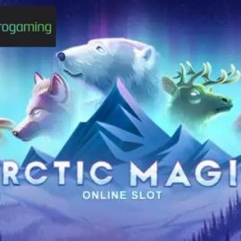 Arctic Magic